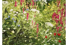 Signature image, click to enlarge