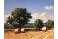 No frame image, click to enlarge