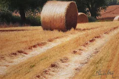 Signature image, click to enlarge