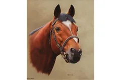 No frame image, click to enlarge