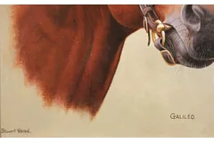 Signature image, click to enlarge