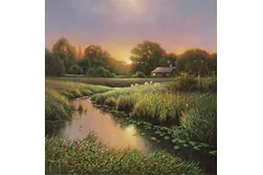 No frame image, click to enlarge