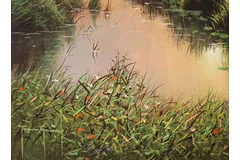 Signature image, click to enlarge
