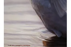 Signature image, click to enlarge