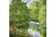 No frame image, click to enlarge