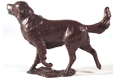 No frame image, click to enlarge