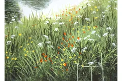 Signature image, click to enlarge