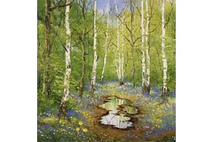 No frame image, click to enlarge