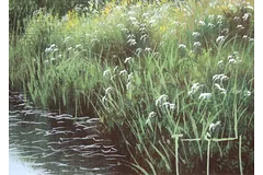 Signature image, click to enlarge