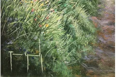 Signature image, click to enlarge