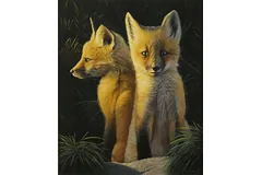 No frame image, click to enlarge