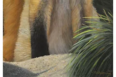 Signature image, click to enlarge