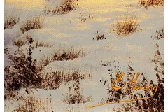 Signature image, click to enlarge