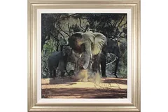 Large image, click to enlarge