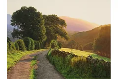 No frame image, click to enlarge