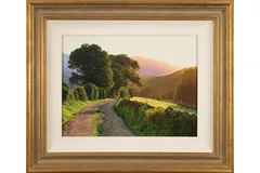 Large image, click to enlarge