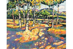 No frame image, click to enlarge