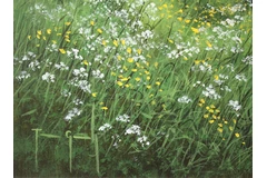 Signature image, click to enlarge