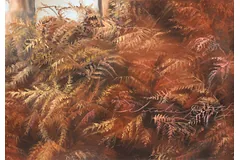 Signature image, click to enlarge