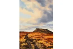 No frame image, click to enlarge