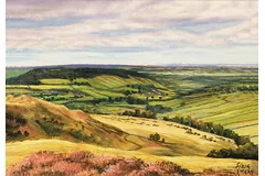 No frame image, click to enlarge