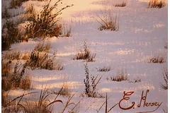 Signature image, click to enlarge