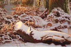 Signature image, click to enlarge