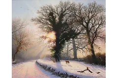 No frame image, click to enlarge