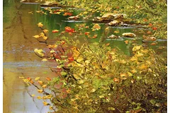 Signature image, click to enlarge