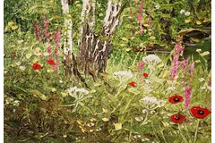 Signature image, click to enlarge