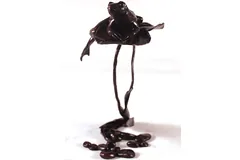 Signature image, click to enlarge