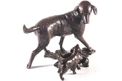 No frame image, click to enlarge