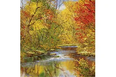No frame image, click to enlarge