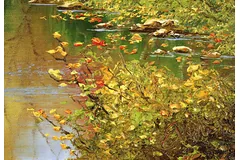 Signature image, click to enlarge