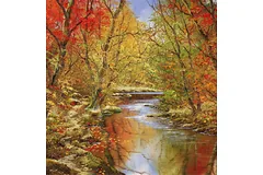 No frame image, click to enlarge
