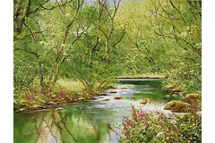 No frame image, click to enlarge