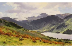 No frame image, click to enlarge