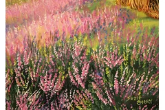 Signature image, click to enlarge