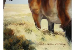 Signature image, click to enlarge