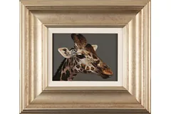 Large image, click to enlarge