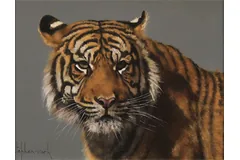 No frame image, click to enlarge