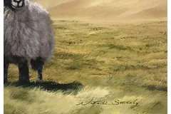 Signature image, click to enlarge