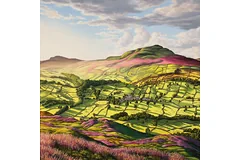 No frame image, click to enlarge