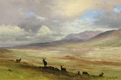 No frame image, click to enlarge