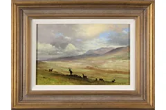 Large image, click to enlarge