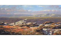 No frame image, click to enlarge