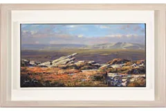 Large image, click to enlarge