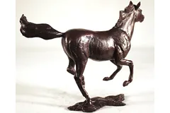 No frame image, click to enlarge