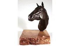 Large image, click to enlarge
