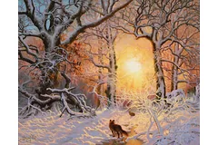 No frame image, click to enlarge